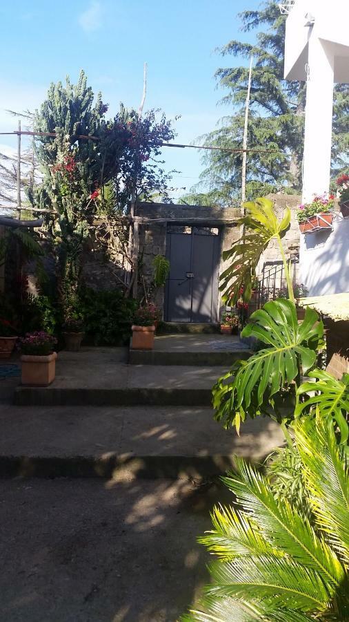 Casa Carolina Bed and breakfast