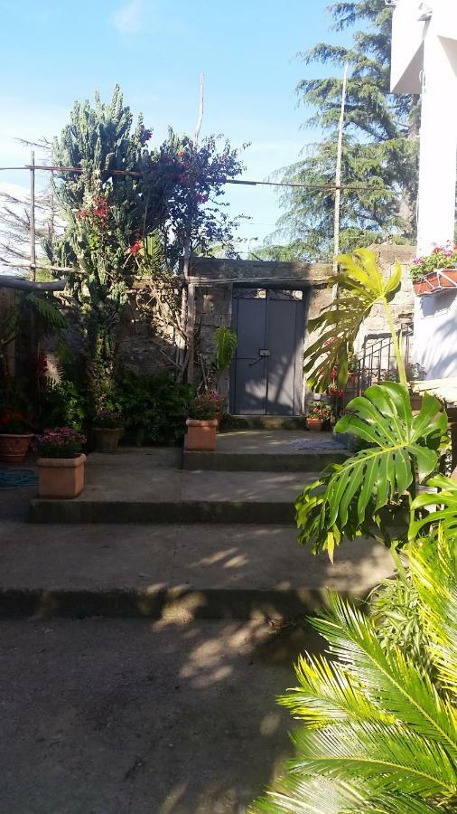 Bed and breakfast Casa Carolina *
