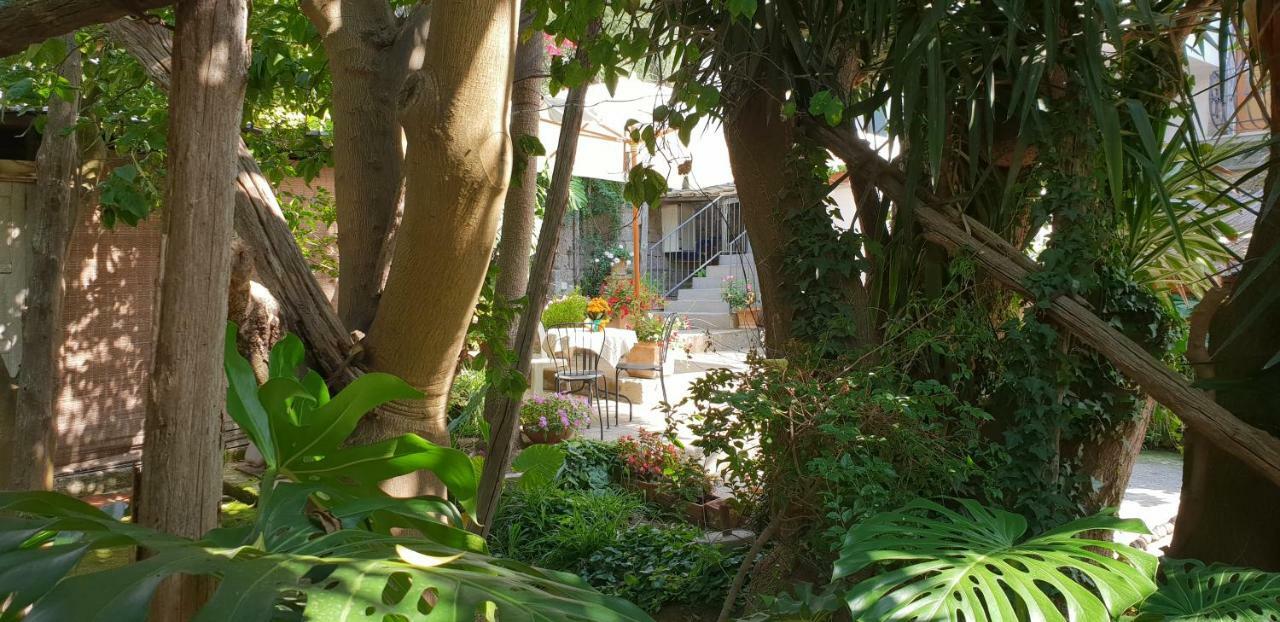 Casa Carolina Bed and breakfast